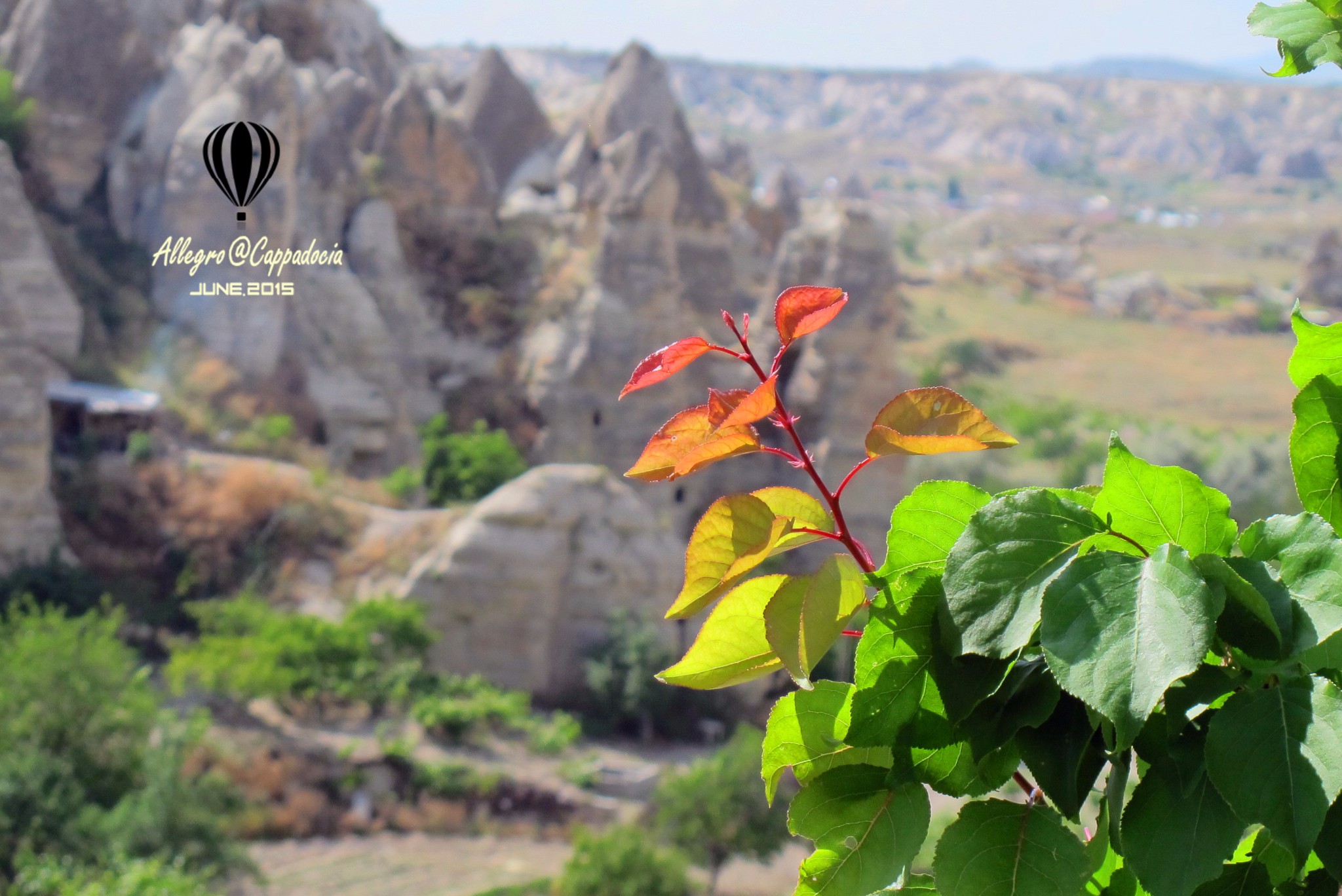 猜成语图片落日路_看图猜成语(2)