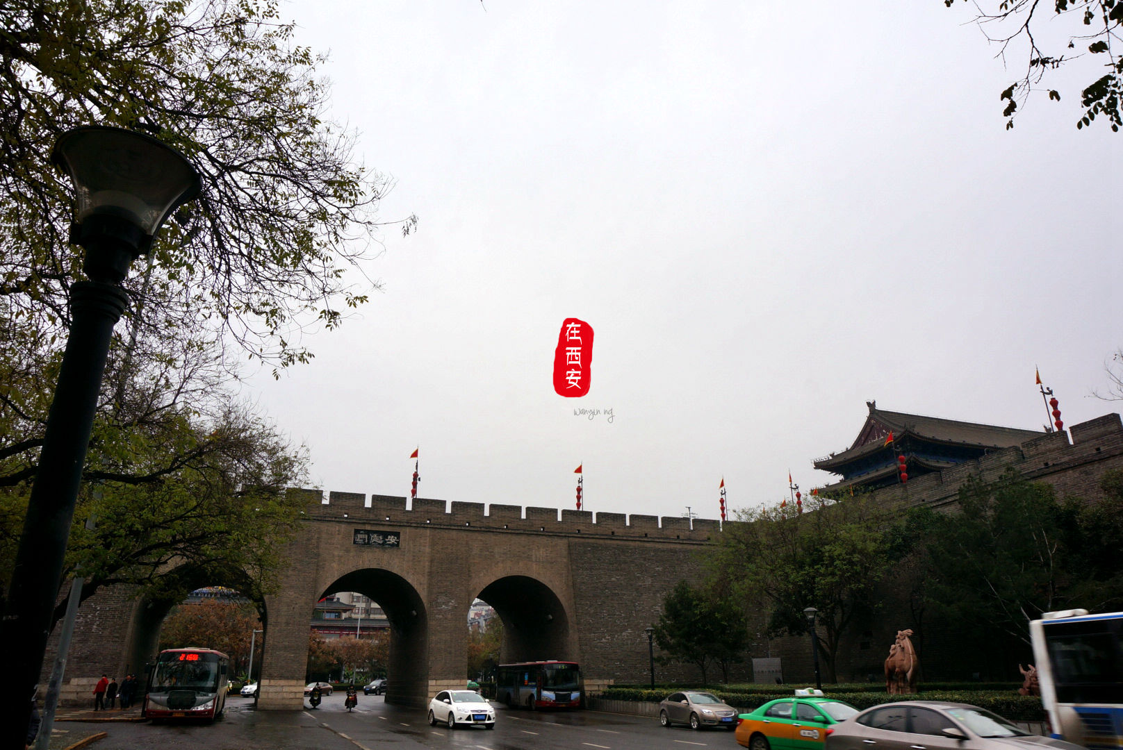 青岛回民人口_青岛回民金衣竹(3)