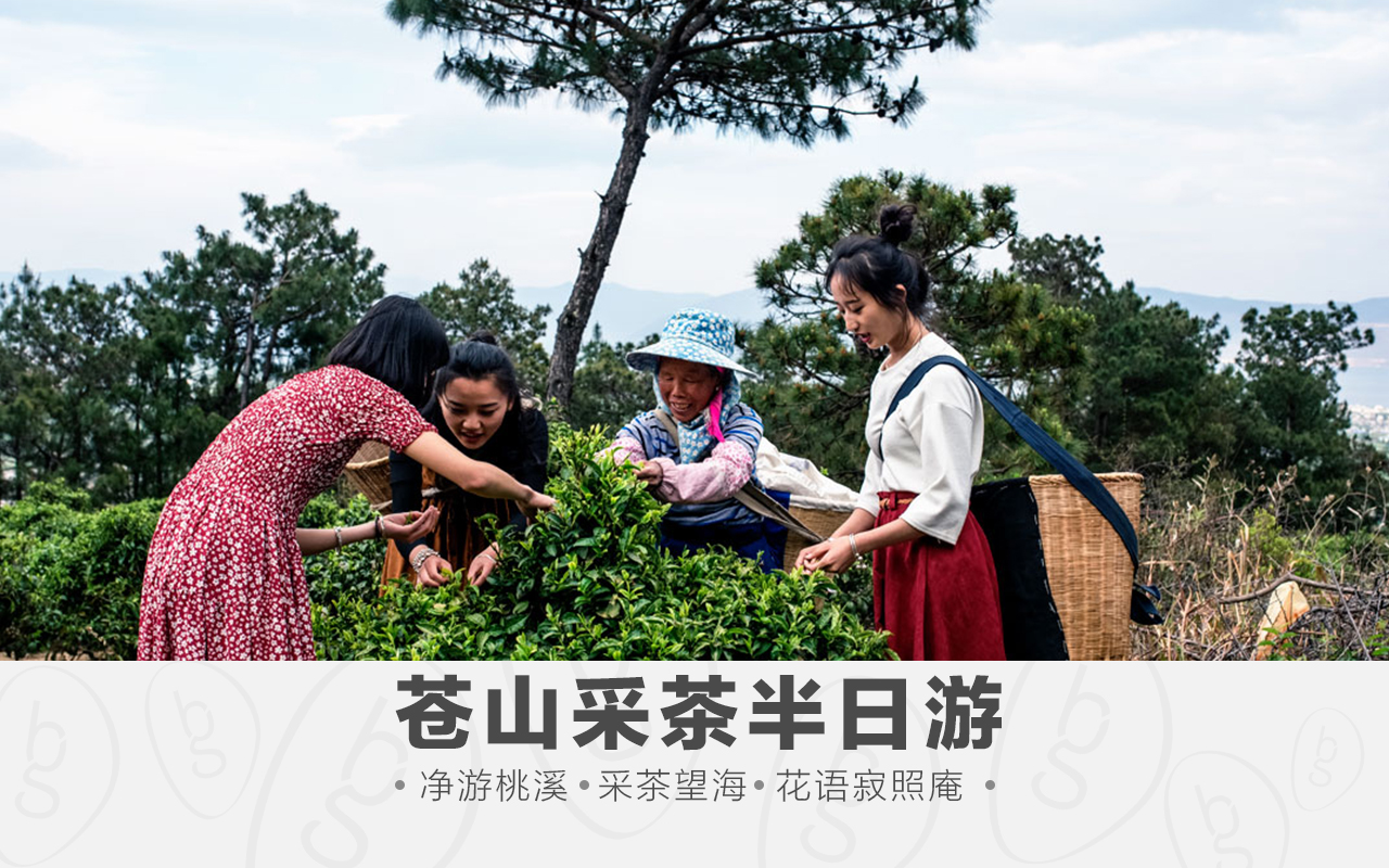大理洱海皮划艇半日体验唯美日出日落遥望苍山0距离亲海遥望苍山古城