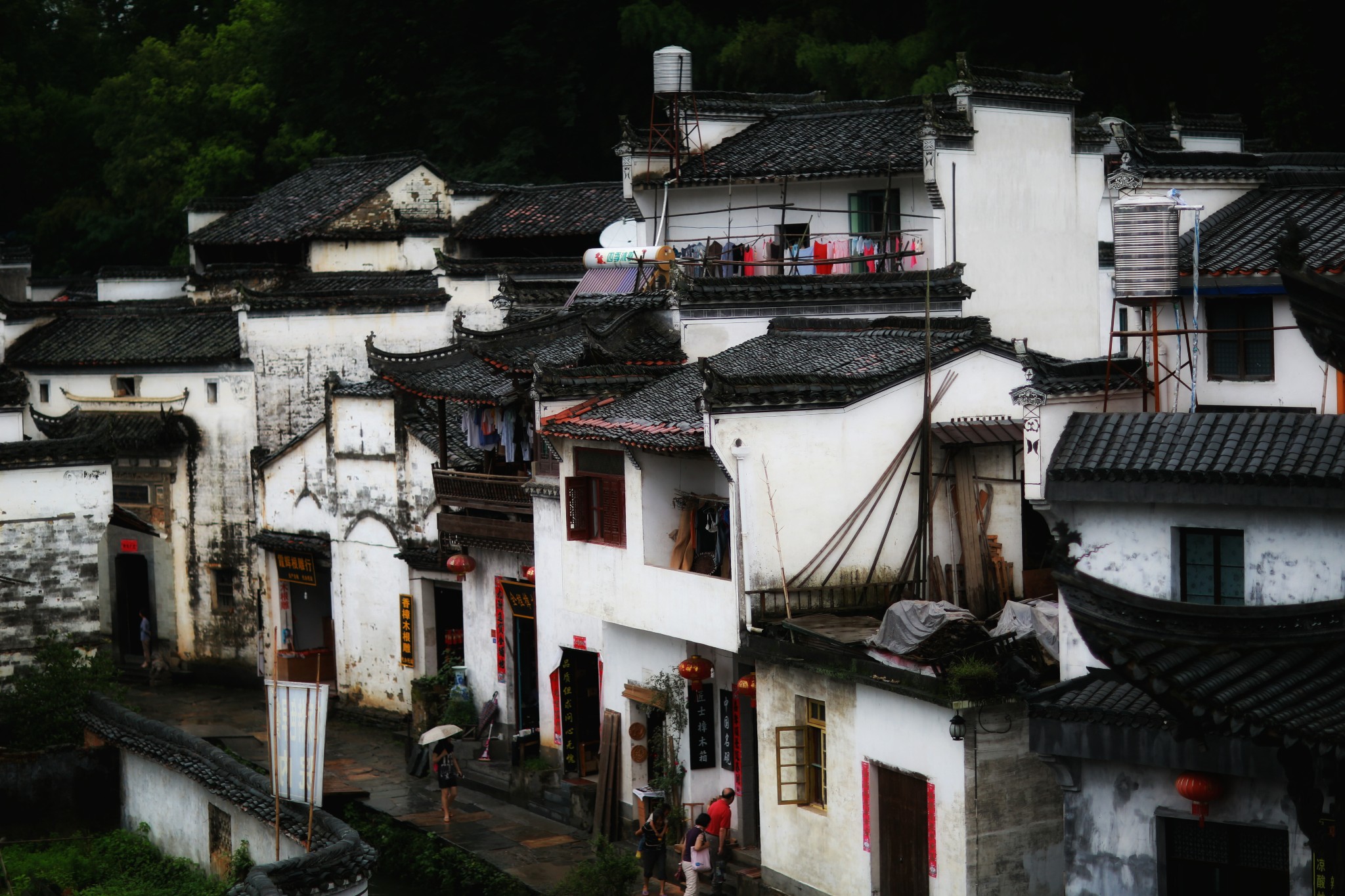 山重水路疑无路柳暗花明又一村猜成语(2)