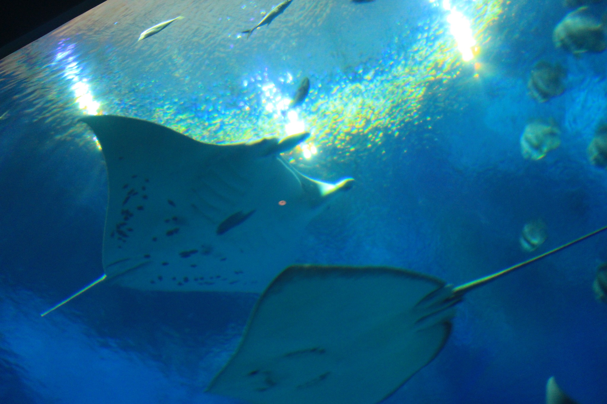 新加坡酒店_新加坡旅游景点_新加坡收入消费