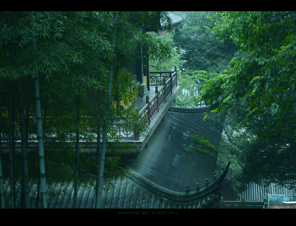 烟雨杭城:清晨入古寺,问禅灵隐