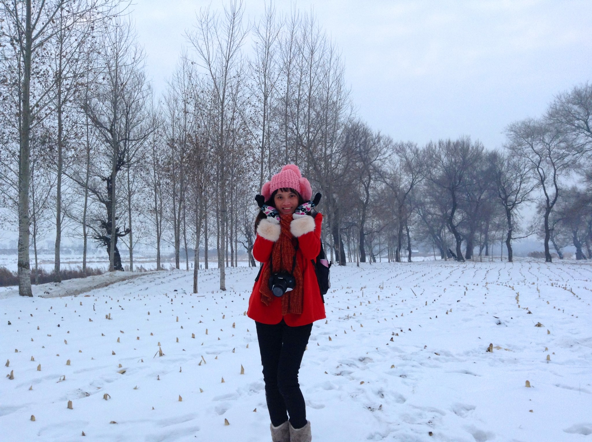 南方女孩,冰城看雪