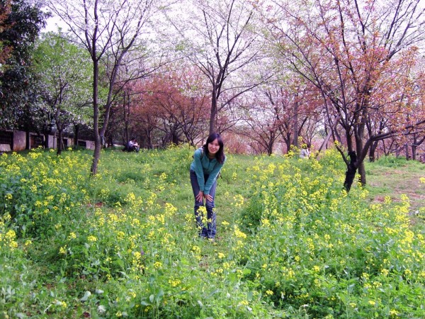 什么时候去日本看樱花比较好 wKgBm02Ur1bJI4hIAAbUnVlmy1k13.jpeg?imageView2%2F2%2Fw%2F600%2Fh%2F600%2Fq%2F90