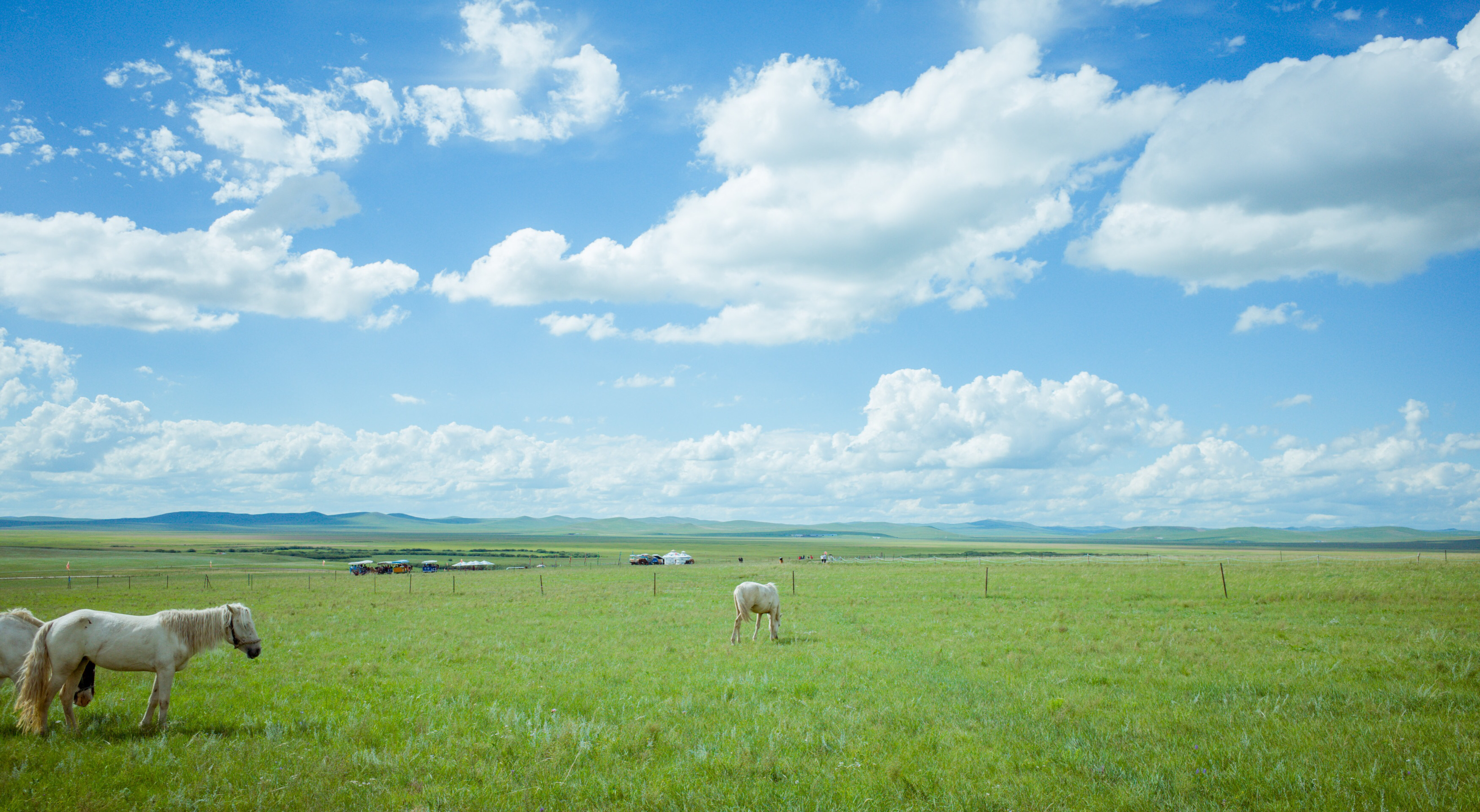 内蒙草原旅游哪里好内蒙古哪里的草原美丽又好玩