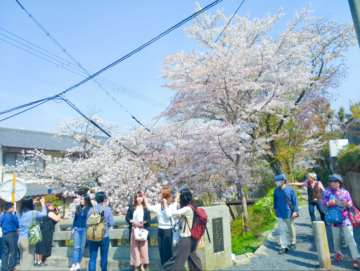 京都自助遊攻略