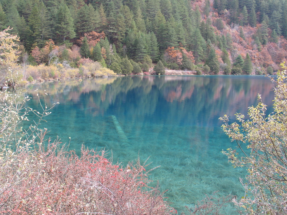 wKgBm04YH8fVE_sbAAUvZLXu-C483.jpeg?imageView2%2F2%2Fw%2F680%2Fq%2F90%7CimageMogr2%2Fstrip%2Fquality%2F90