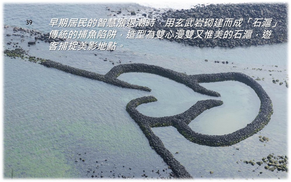 海鸥彩云飞简谱_海鸥飞处彩云飞