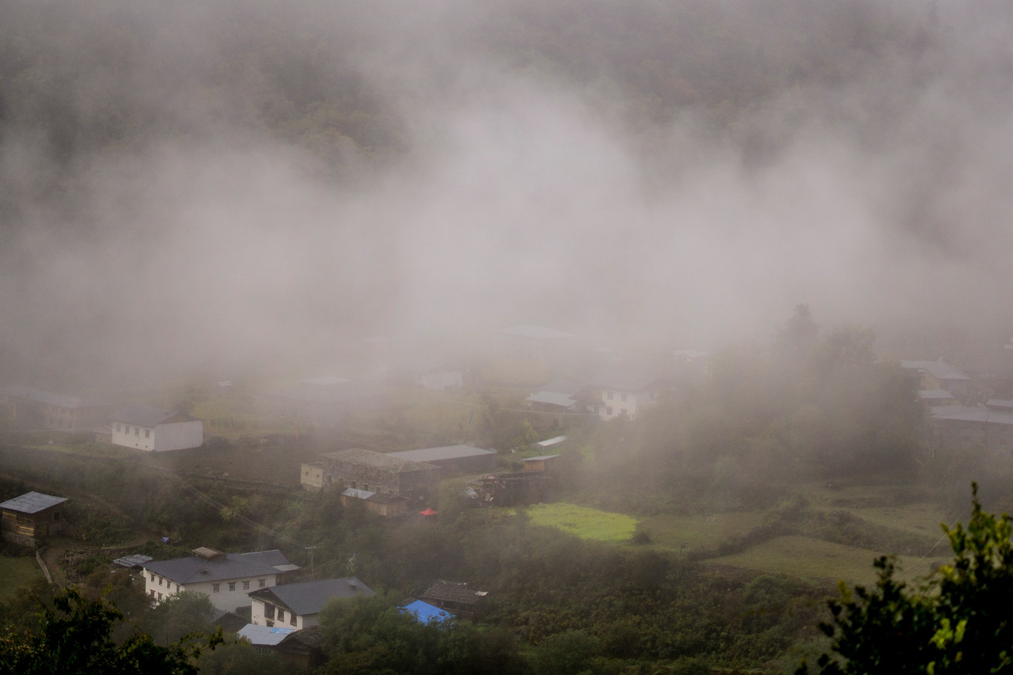 雨崩自助遊攻略