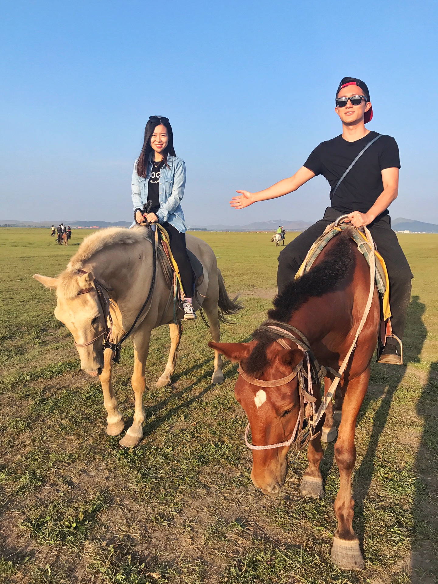 壁纸 动物 马 骑马 680_907 竖版 竖屏 手机