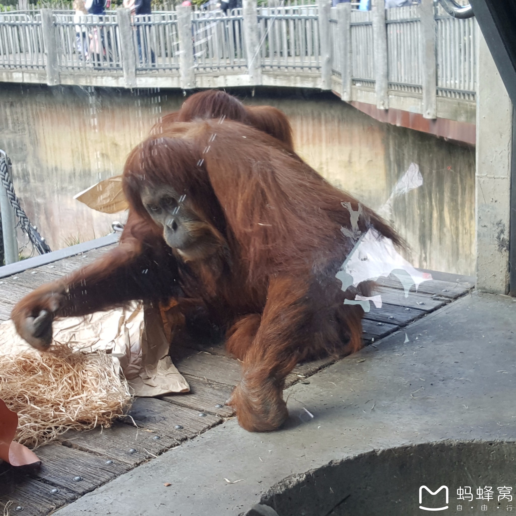 墨爾本自助遊攻略