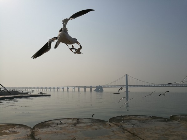 什么海飘成语_成语故事图片(3)