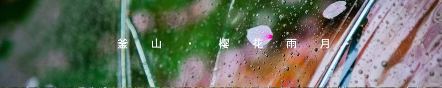 釜山，櫻花雨月