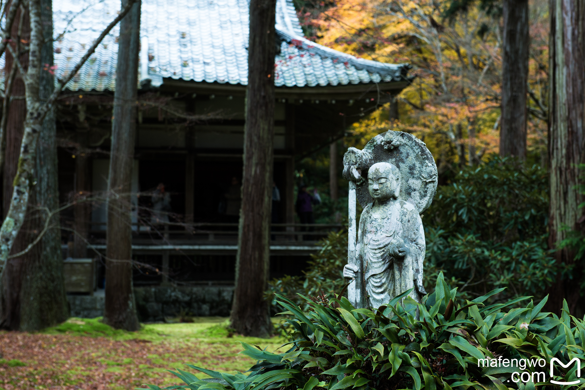 京都自助遊攻略