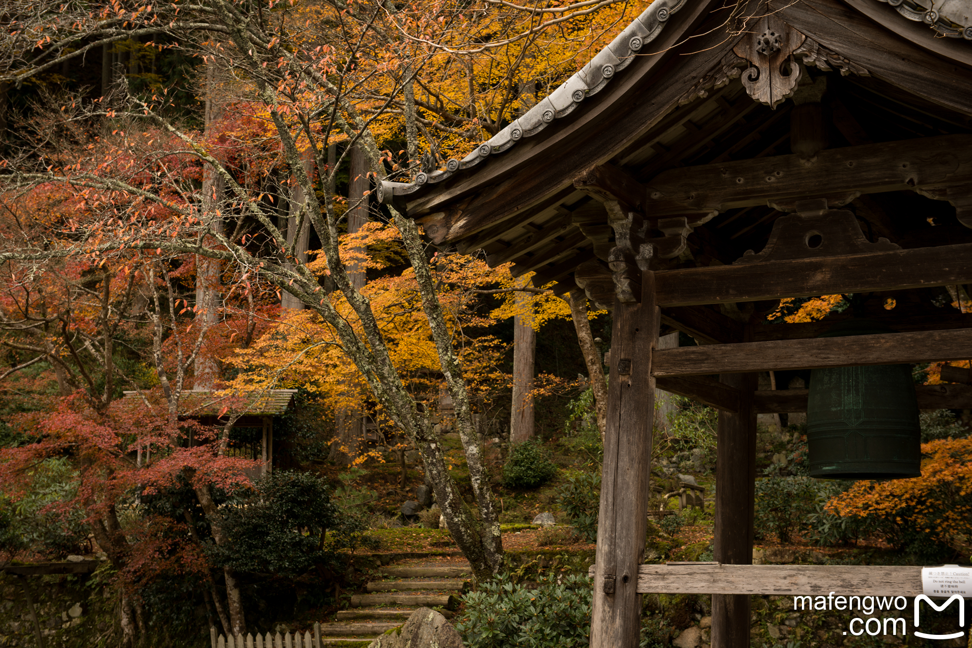 京都自助遊攻略