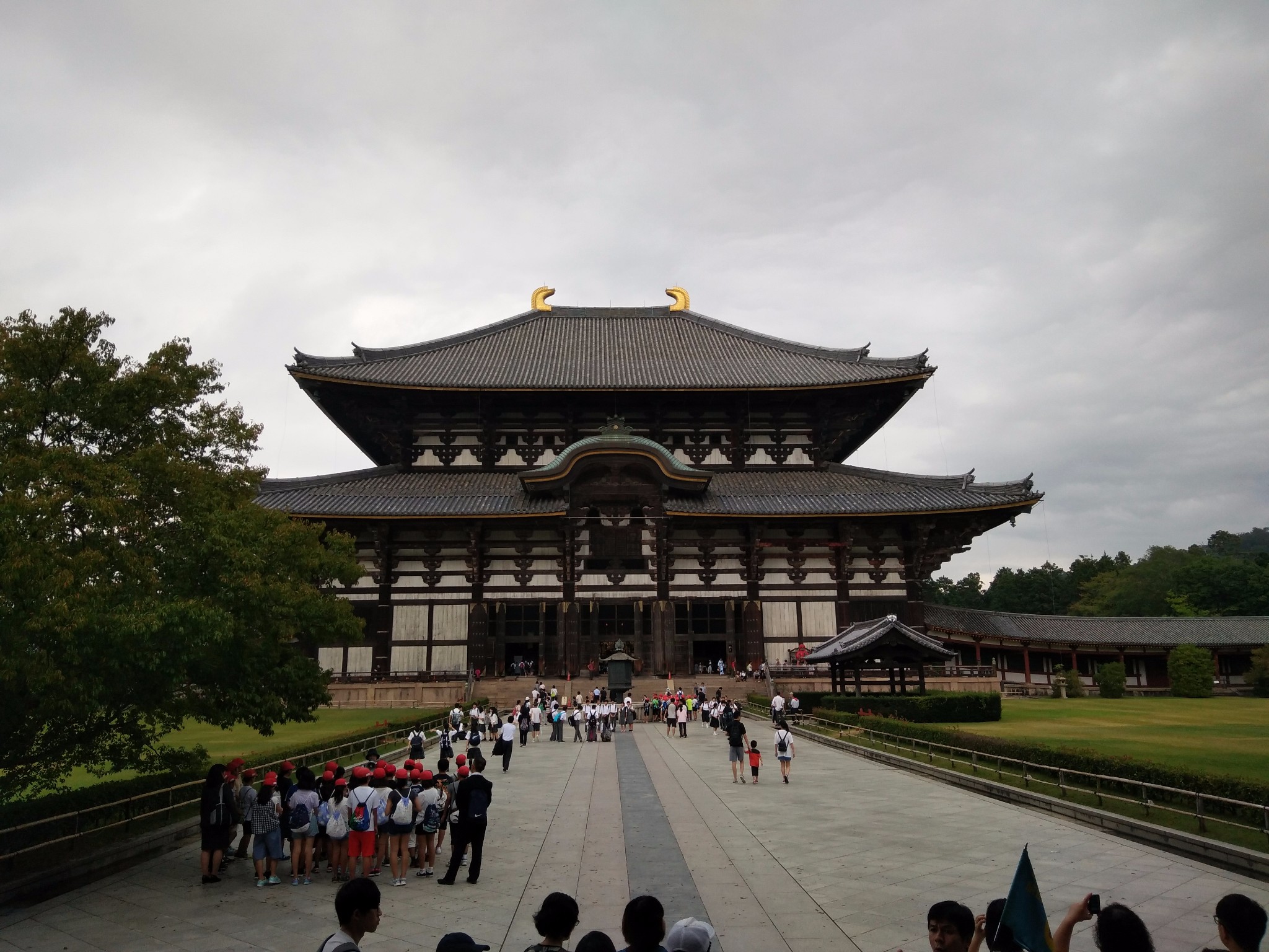 关西自由行-关西三城交通全攻略-非常规景点只王寺,爱宕寺,贵船川床