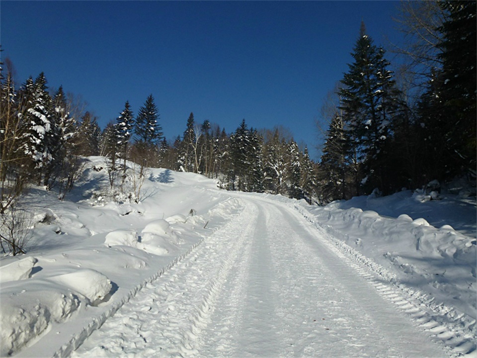 wKgBZ1o3YsuAU4AxAAO8hcQyoXI62.jpeg?imageView2%2F2%2Fw%2F600%2Fh%2F600%2Fq%2F90