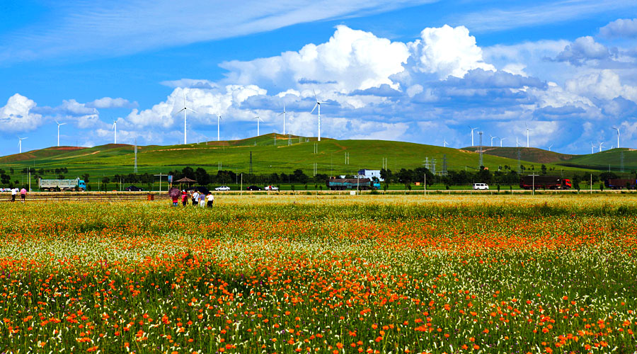 张北坝上草原 冬奥小镇 草原天路2日游 赠送特色午餐