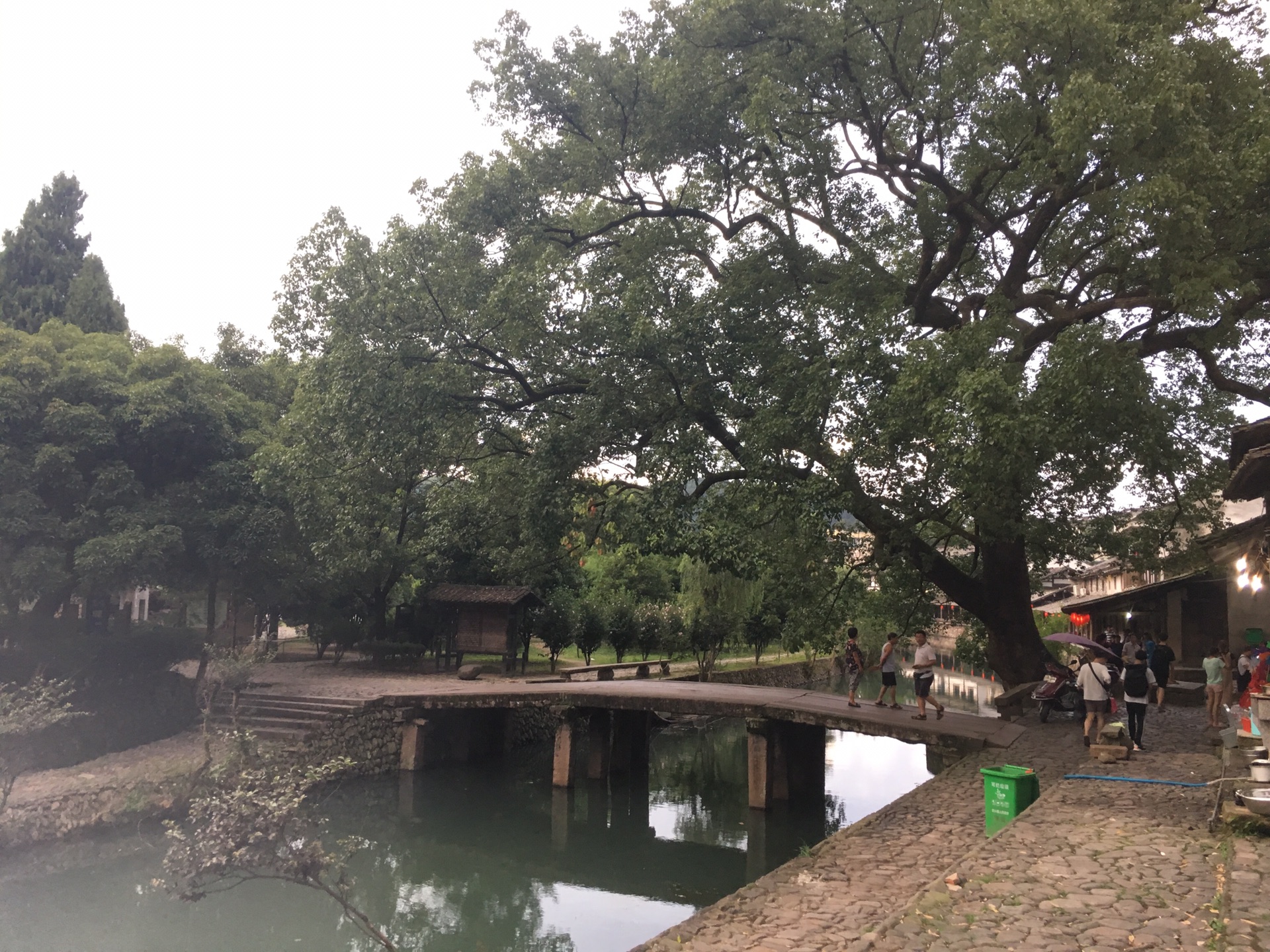 天井排水,当时搞得时候,污水管标准偏低,污水管破损,老鼠搞得污水管