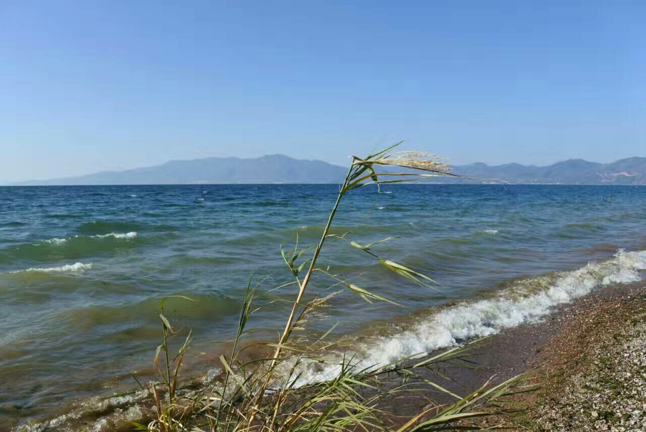 罗平陆良GDP_陆良彩色沙林