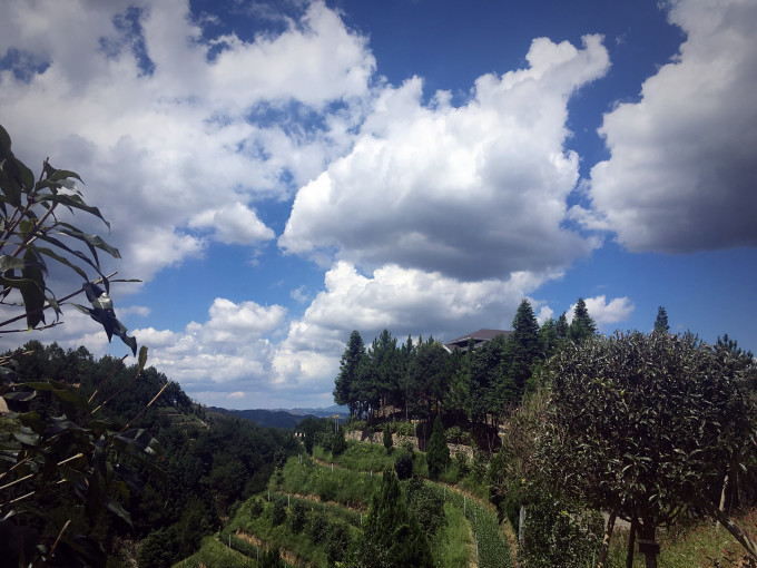 福建景区排名_福建土楼永定景区(2)