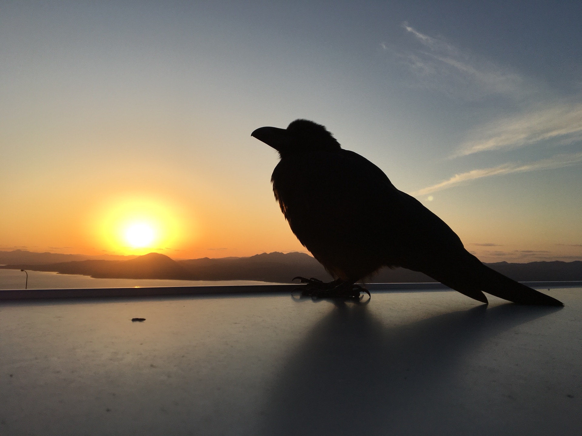 wKgBZ1nkRJGAOqNxAAU4Ziz8WpQ85.jpeg?imageView2%2F2%2Fw%2F600%2Fh%2F600%2Fq%2F90