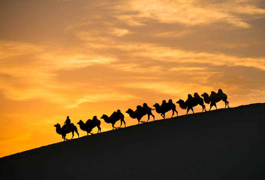 wKgBZ1uDV3iASxLMAAhMTZwydug443.png?imageView2%2F2%2Fw%2F510%2Fh%2F8000%2Fq%2F100