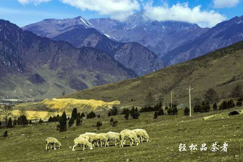 冶勒湖天气