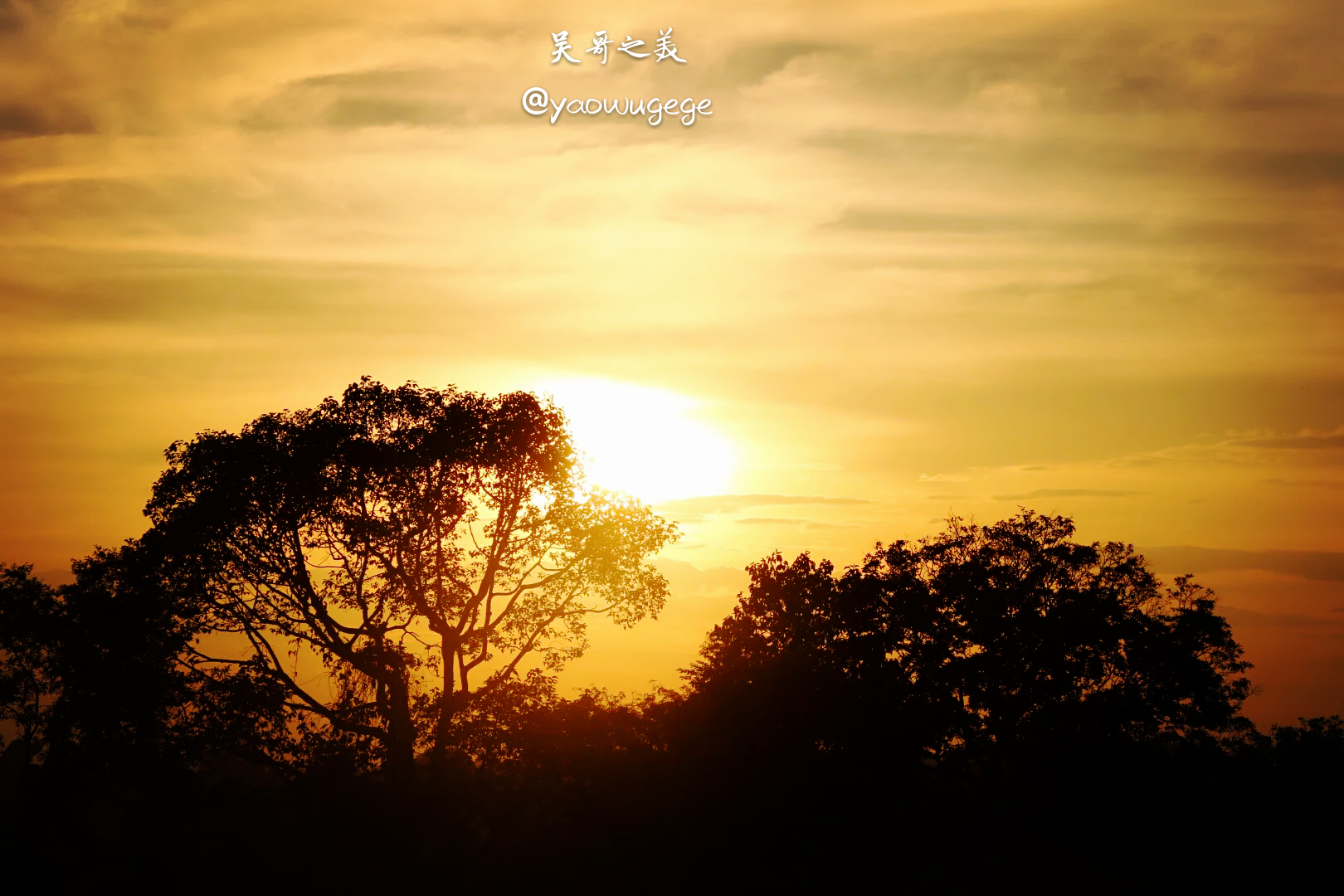 wKgBZ1iDDyGANjD6ABOiGa5rP2o46.jpeg?imageView2%2F2%2Fw%2F680%2Fq%2F90