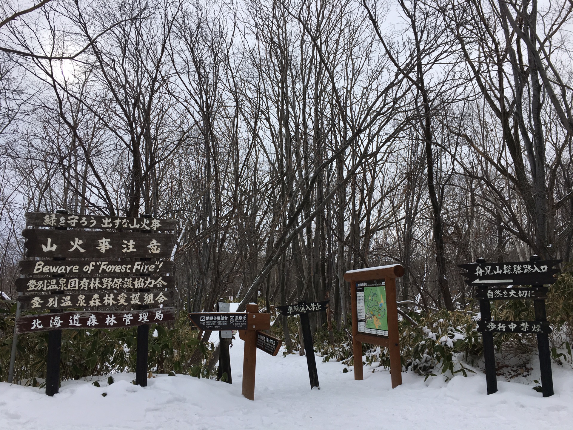 北海道自助遊攻略