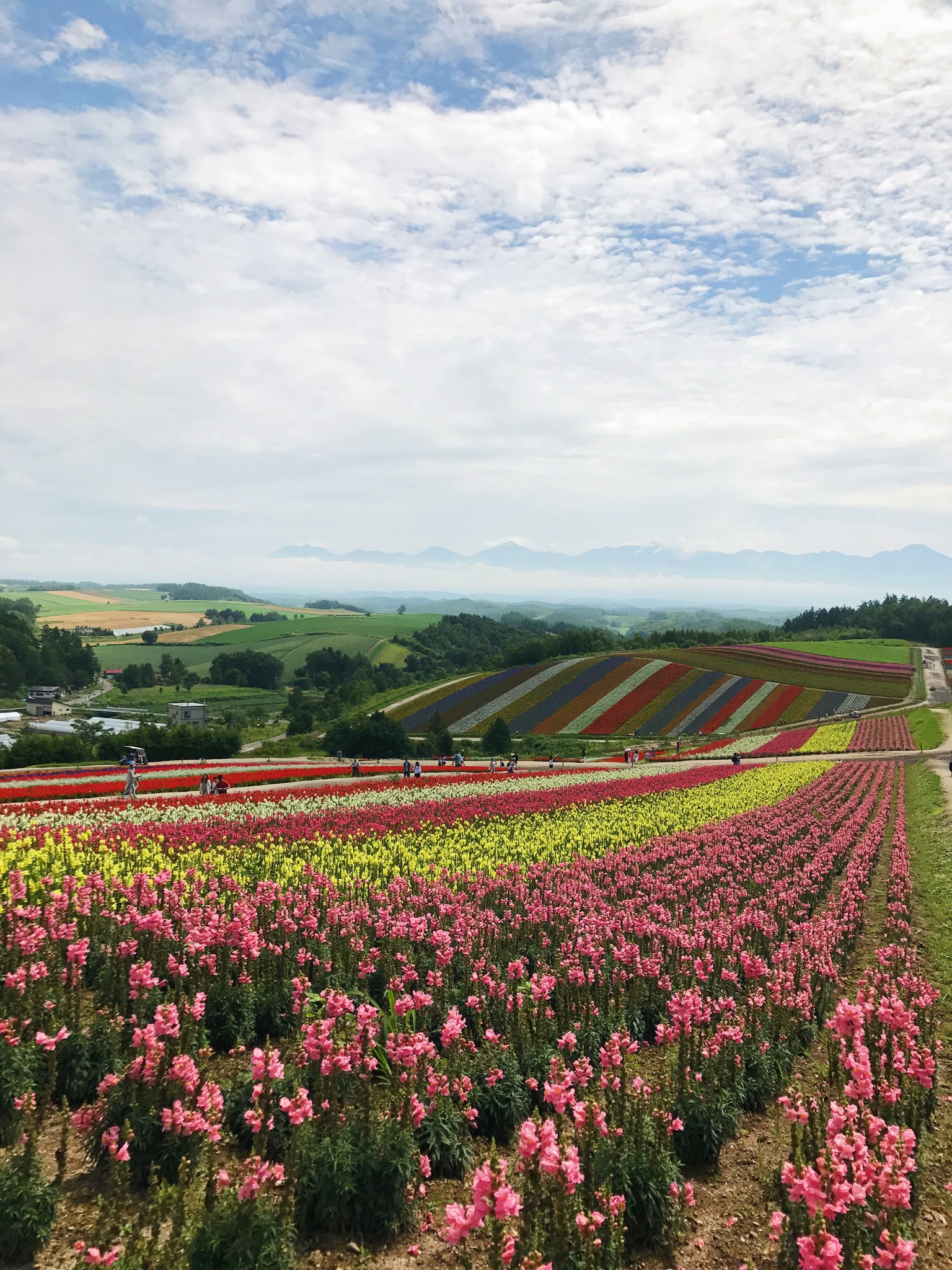 北海道自助遊攻略