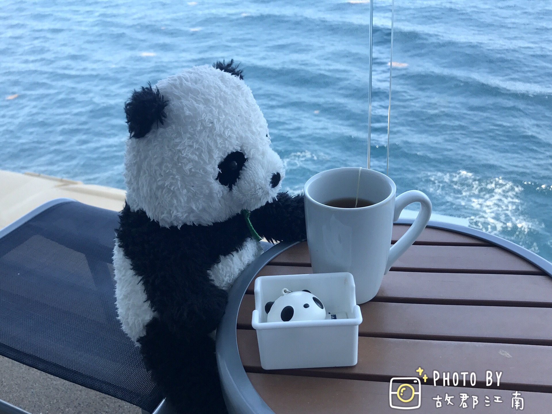 米熊俱乐部大风起沙米熊俱乐部官网