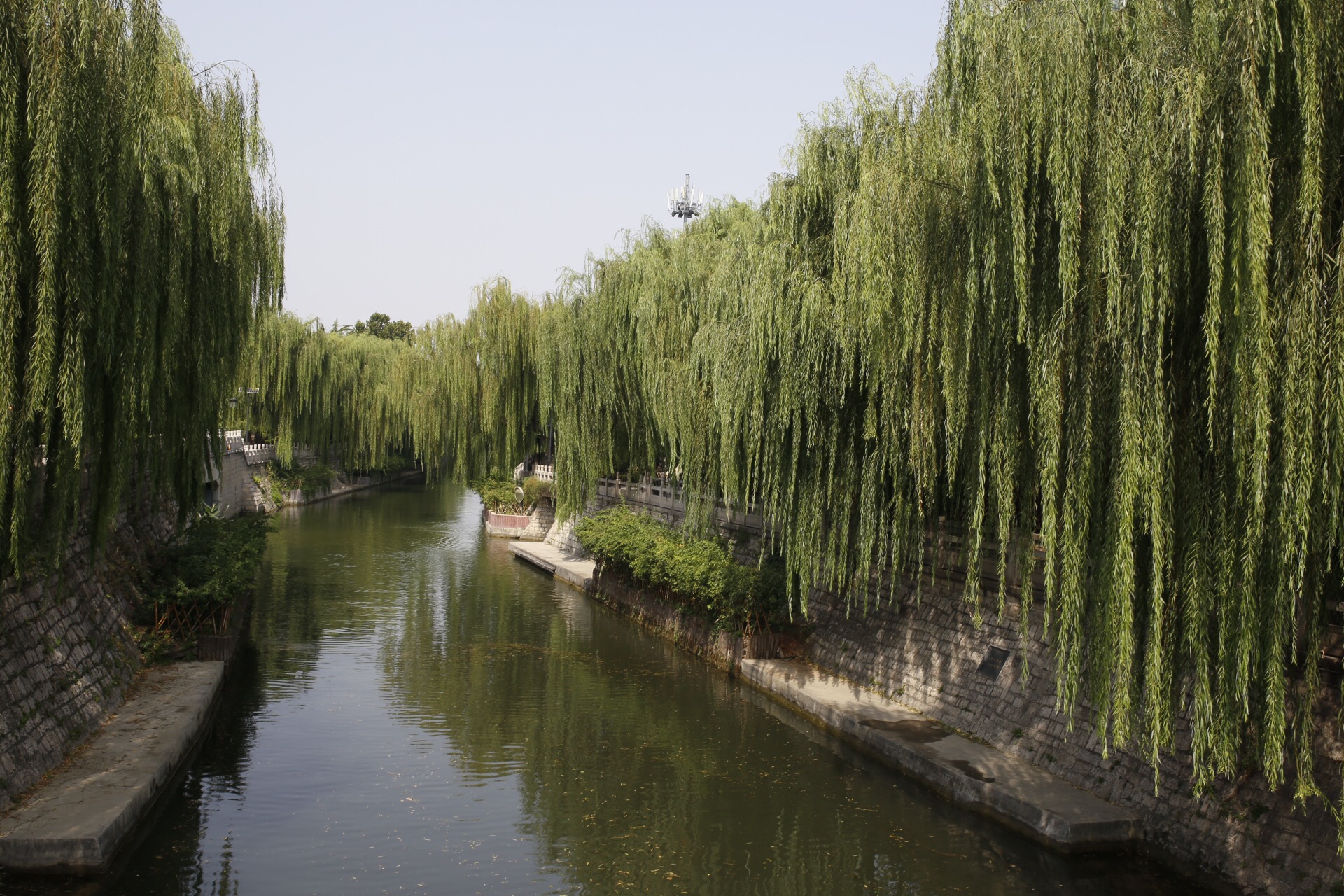 华西村人均收入_济南人均寿命(2)