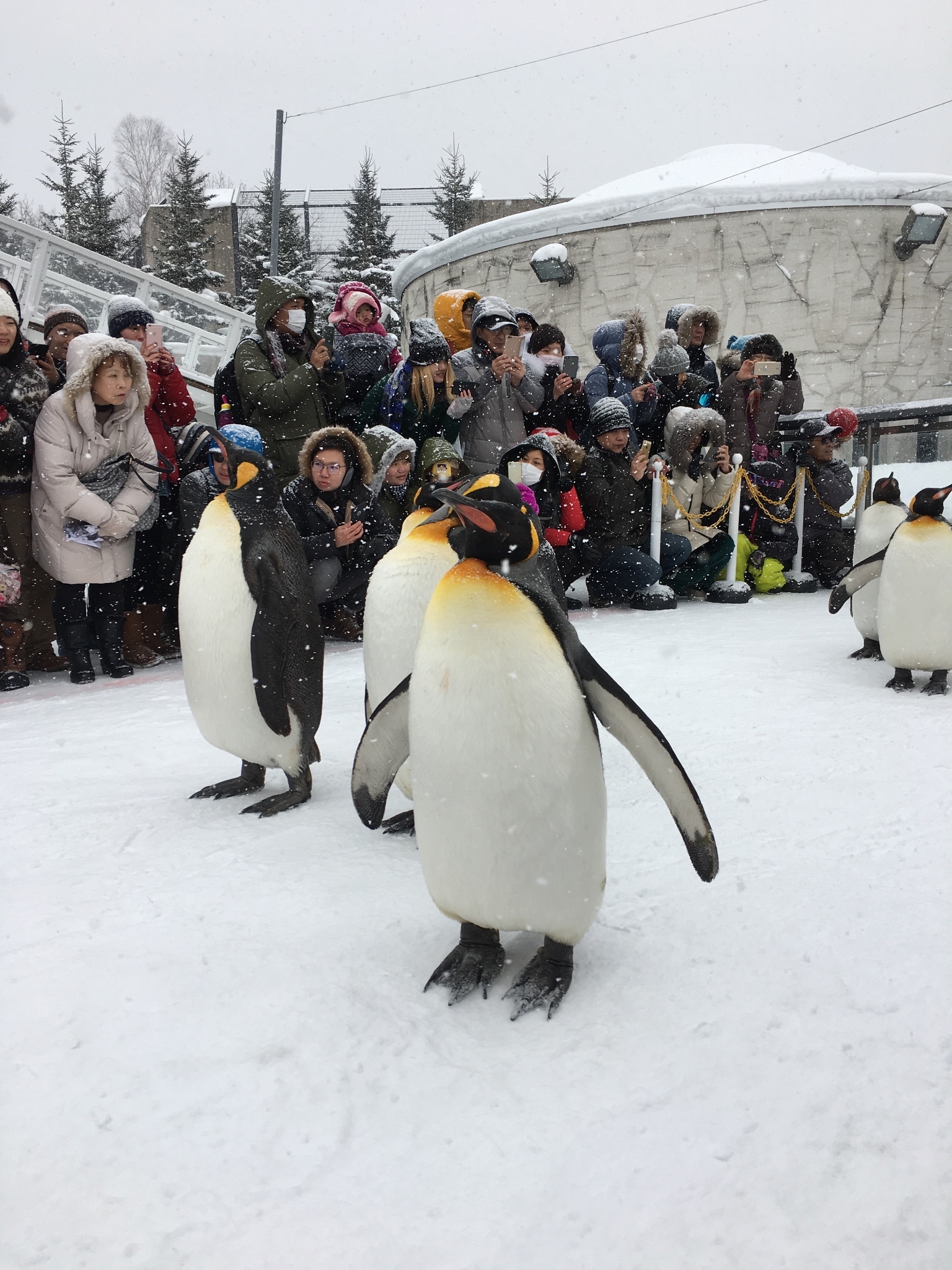 北海道自助遊攻略