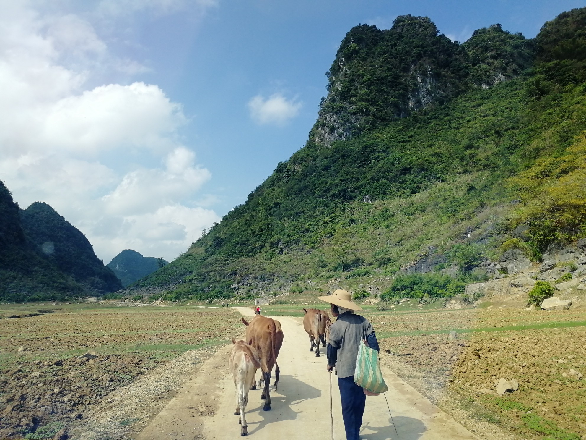 洪湖市桐湖农场多少人口_洪湖市赵玉清图片(2)