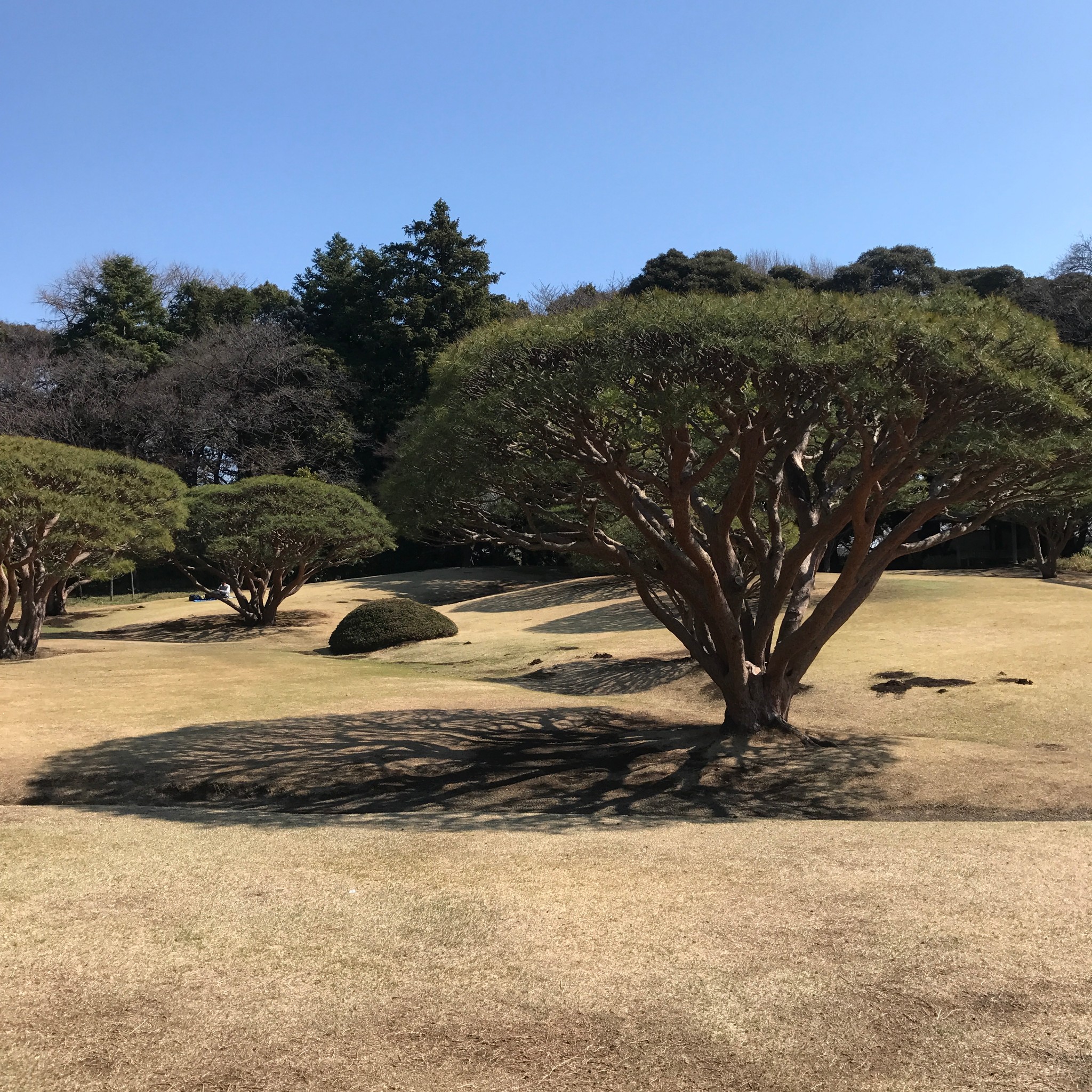 鐮倉自助遊攻略