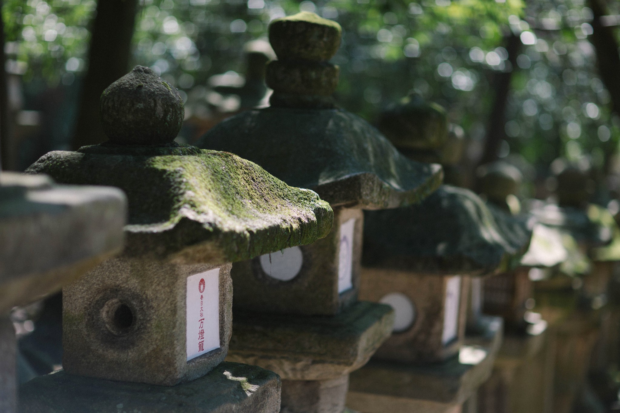 京都自助遊攻略