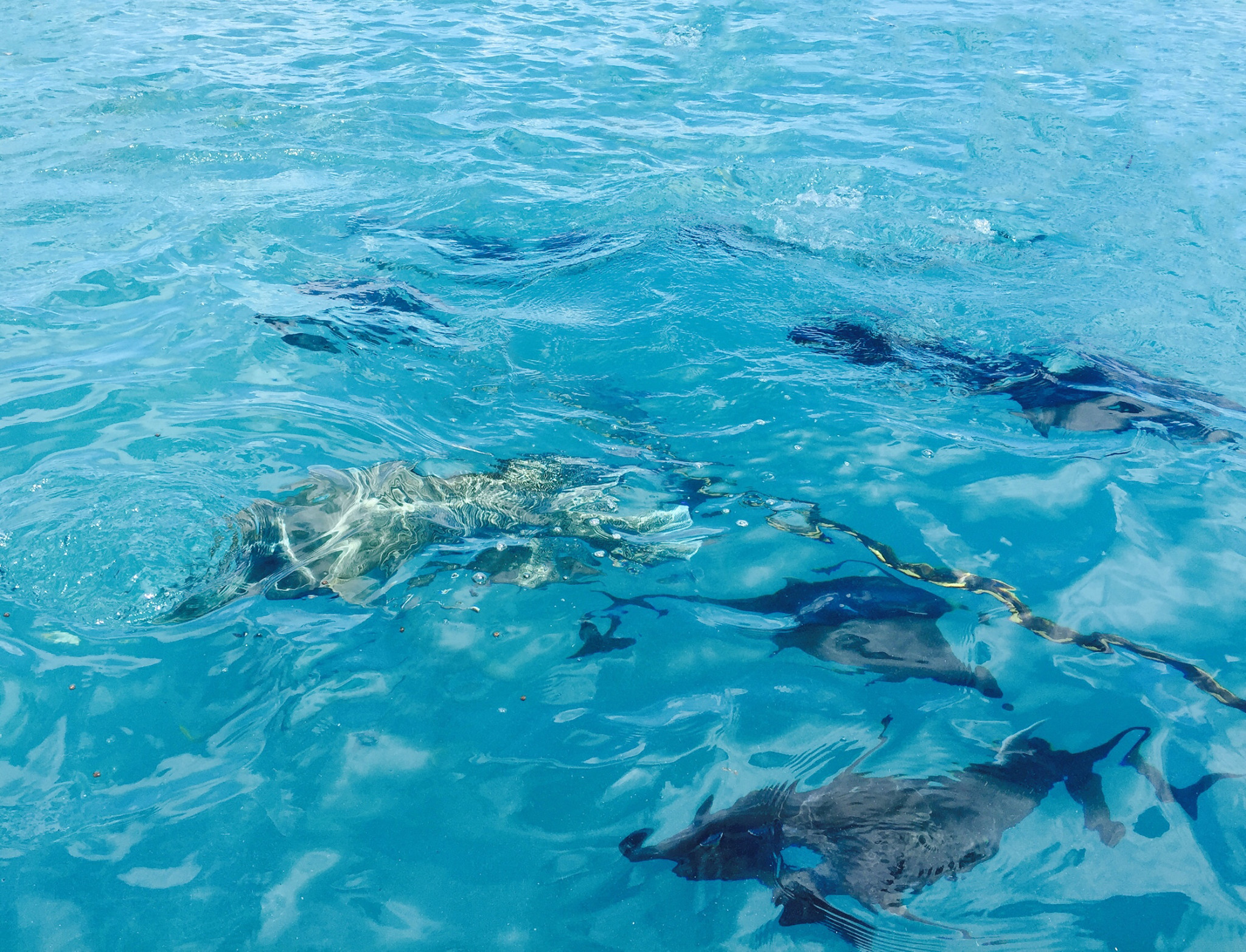 wKgBZ1orYDSAW4K8ABG4w_tz-QQ58.jpeg?imageView2%2F2%2Fw%2F680%2Fq%2F90%7CimageMogr2%2Fstrip%2Fquality%2F90