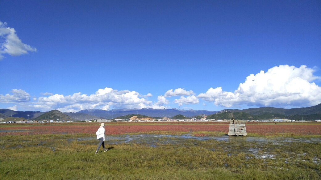 雨崩自助遊攻略