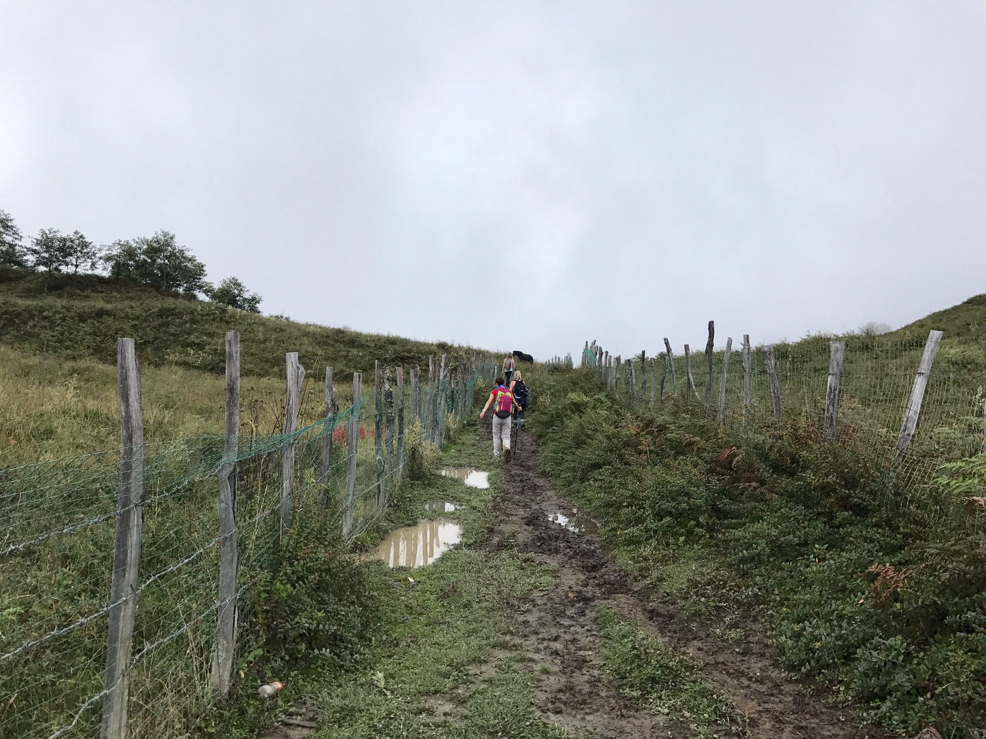 茶马古道_茶马古道人均(3)