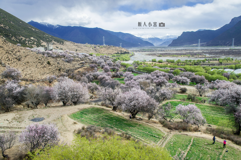 林芝乡镇人口多_林芝公务员乡镇图片