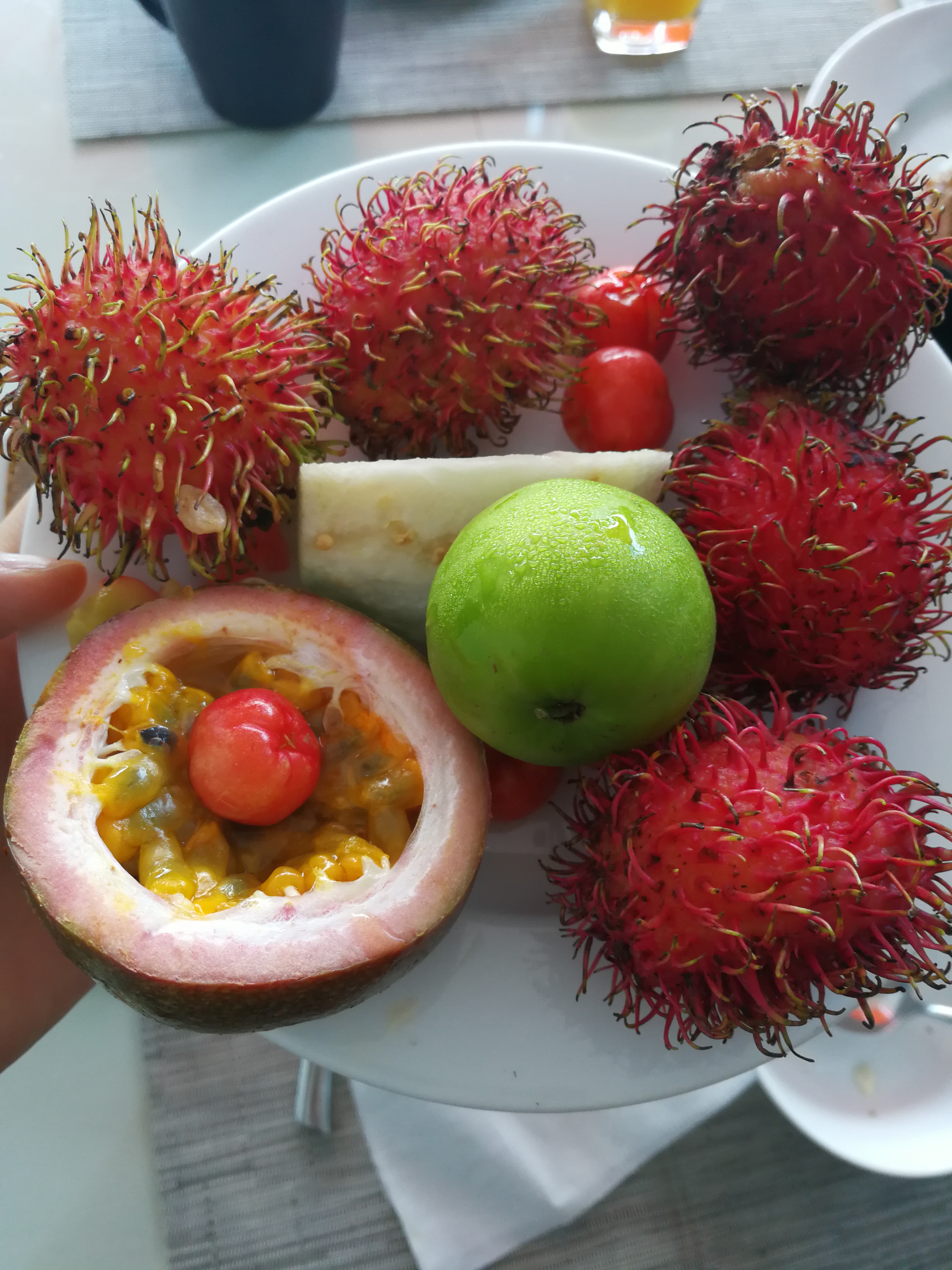 【牛牛】2017-08-01越南芽庄和广州长隆十日