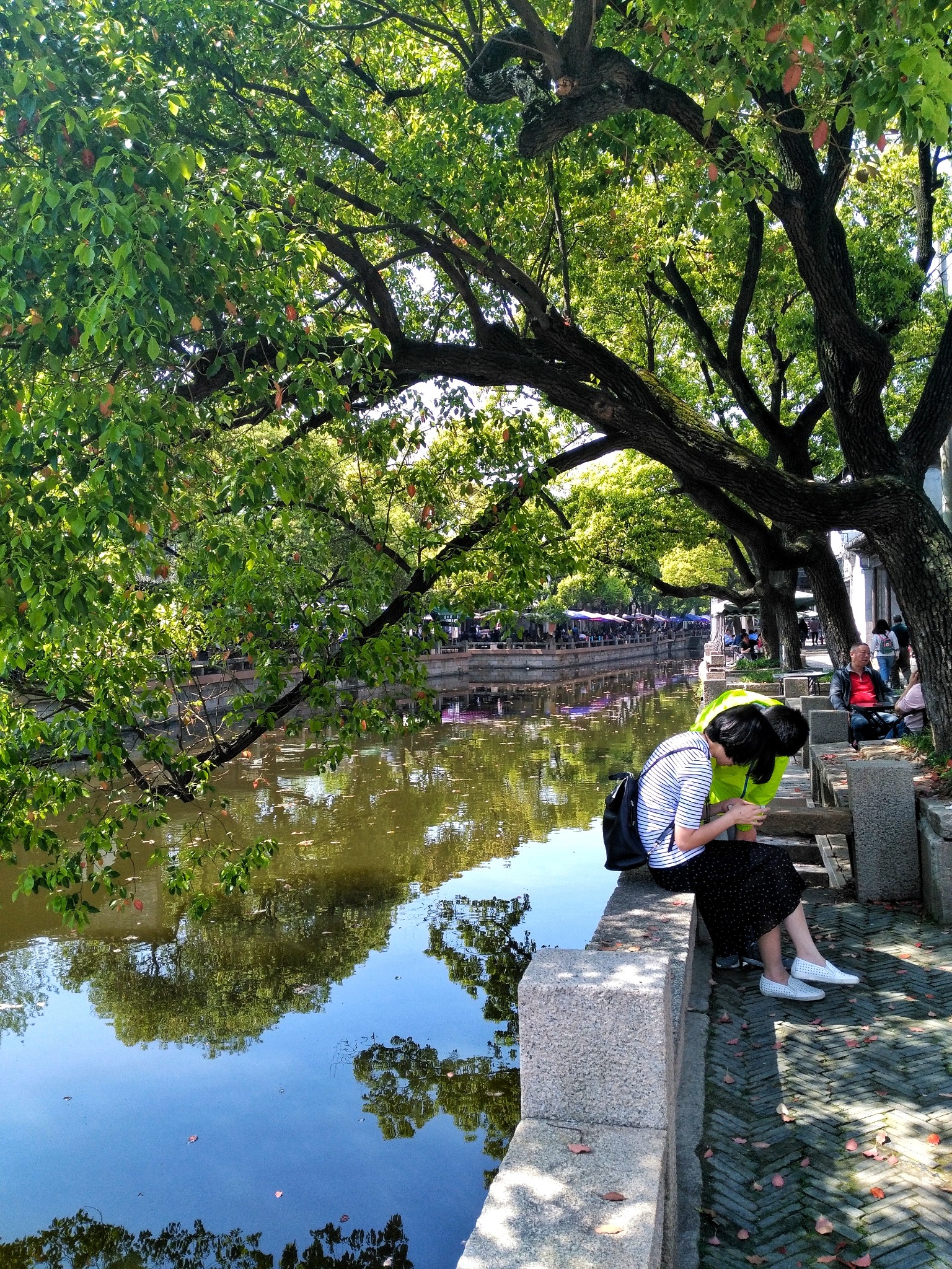 宜兴在住人口_宜兴竹海(3)