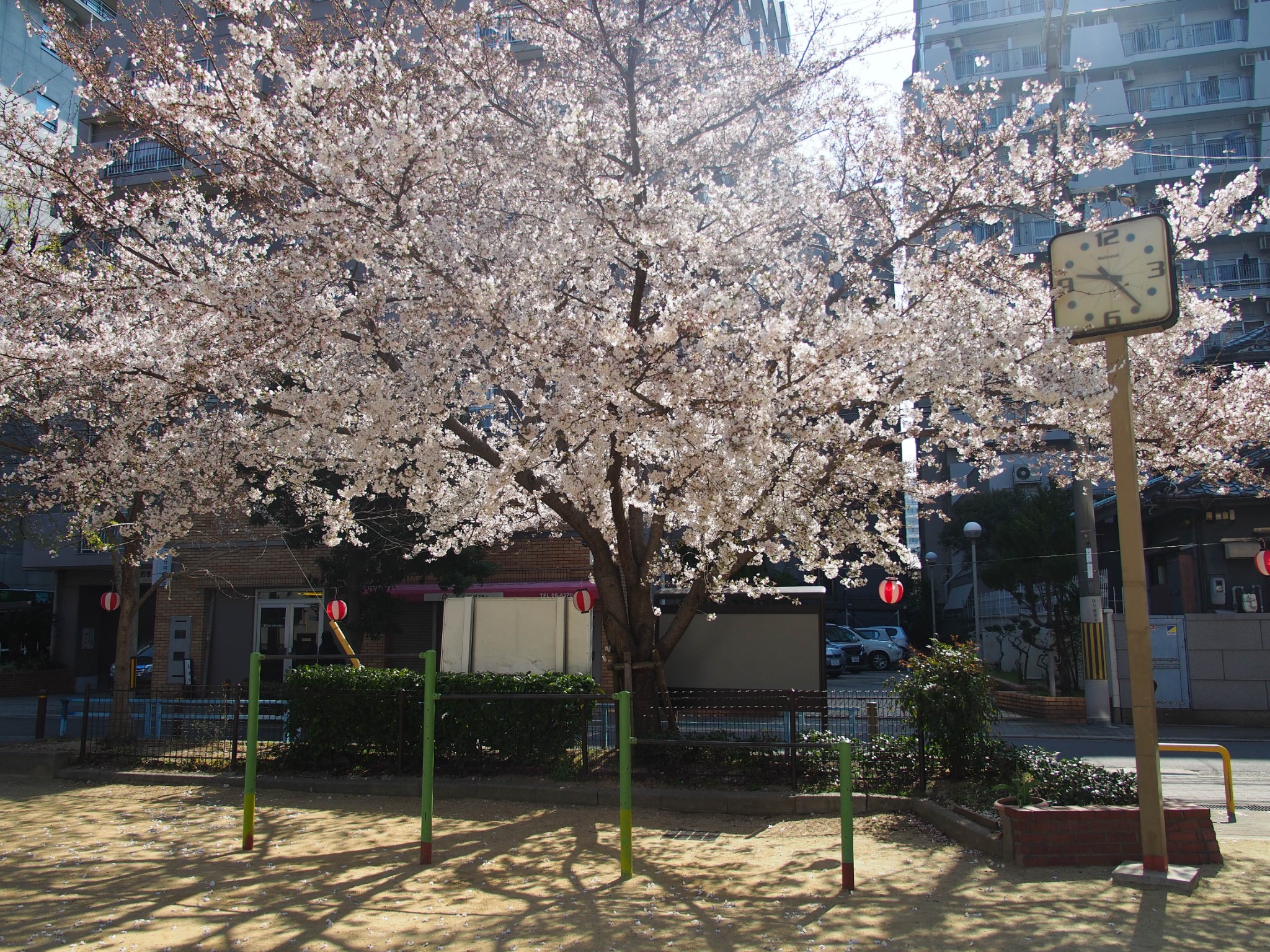 京都自助遊攻略