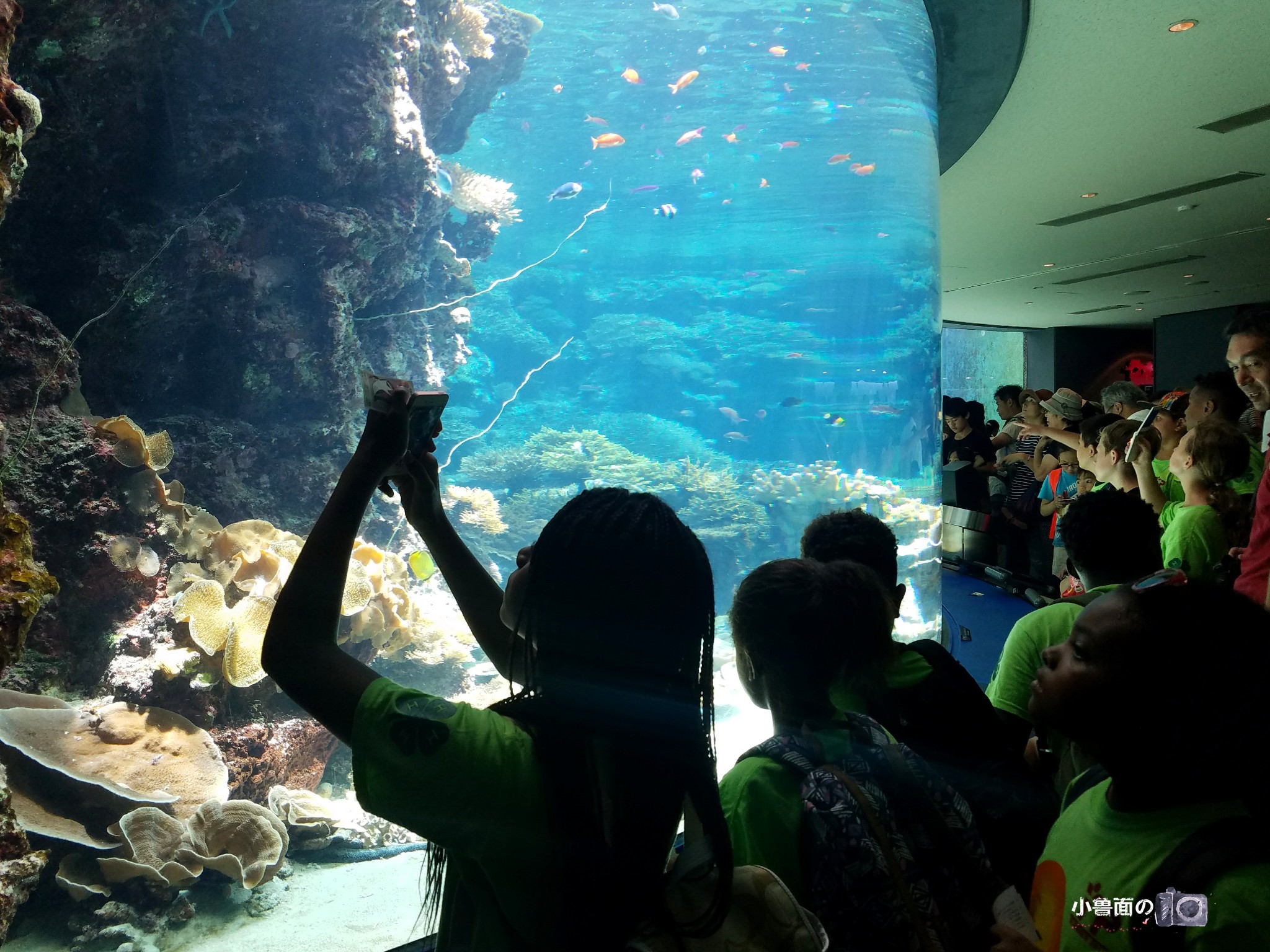 wKgBZ1maTByAewKRAAqNuzVuG_U41.jpeg?imageView2%2F2%2Fw%2F680%2Fq%2F90