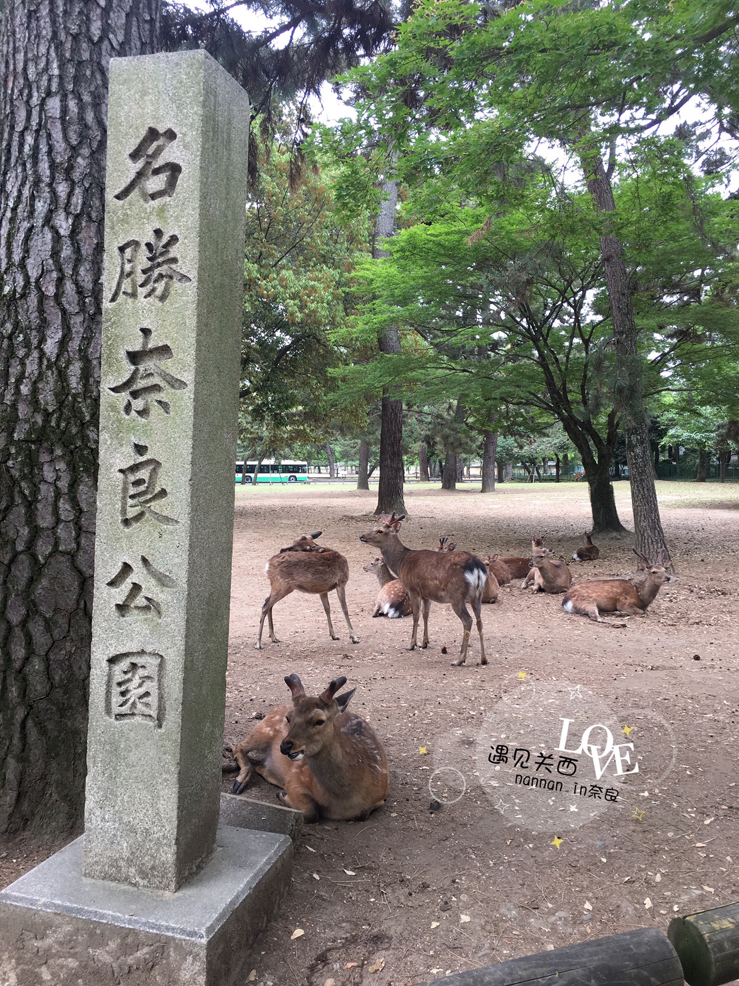 京都自助遊攻略