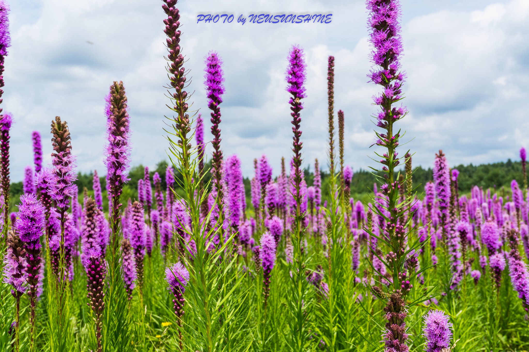 wKgBZ1ndrZiAVucgAA1hr9gHx3s57.jpeg?imageView2%2F2%2Fw%2F680%2Fq%2F90%7CimageMogr2%2Fstrip%2Fquality%2F90