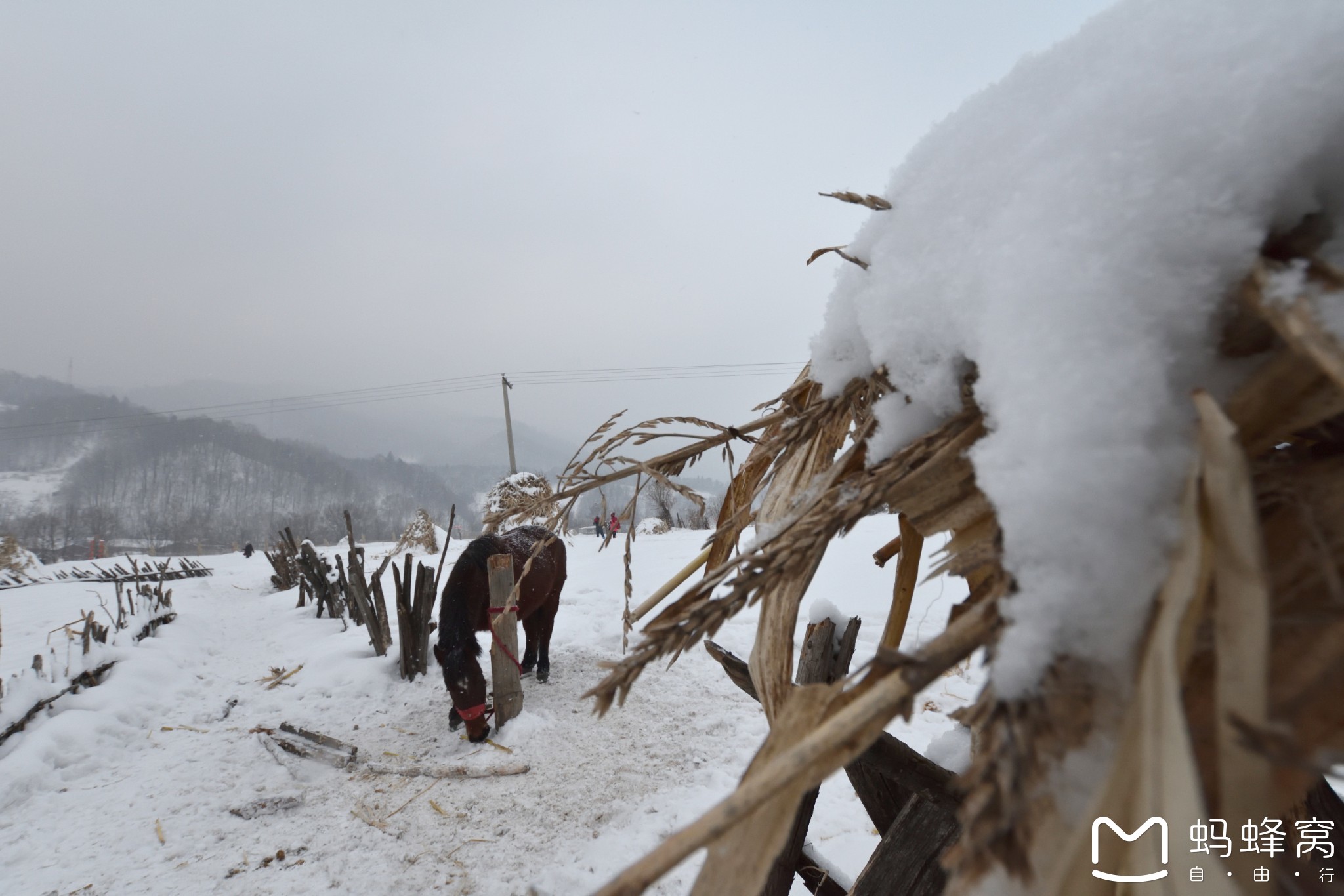 雪鄉自助遊攻略