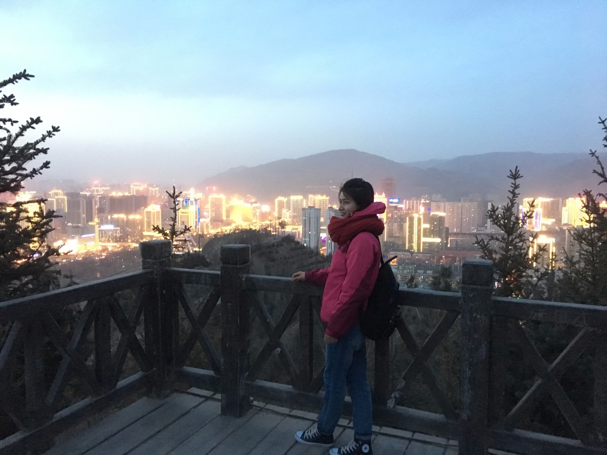 越南多少人口2017_越南战后怎么恢复人口(3)