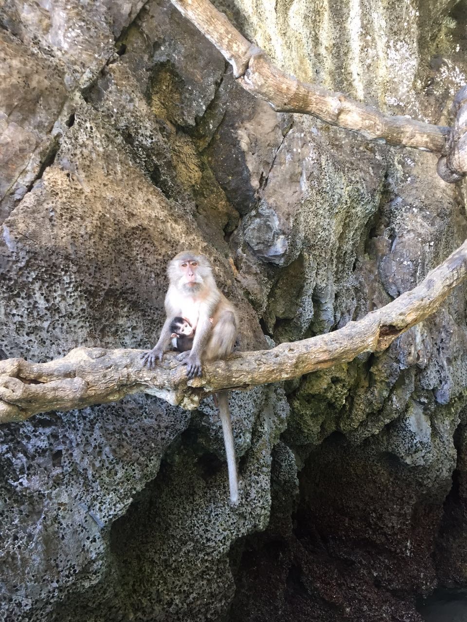 沙子猜一成语_一粒沙子放大一亿倍(3)